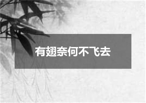 有翅奈何不飞去