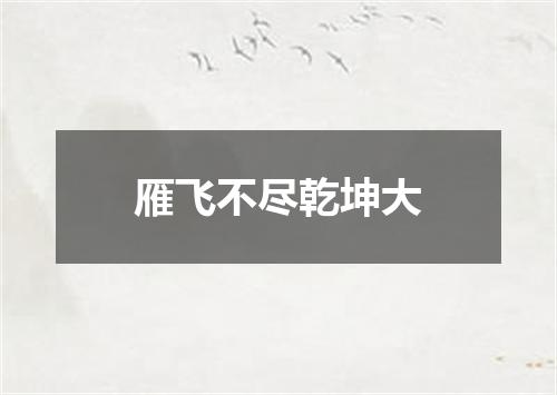 雁飞不尽乾坤大