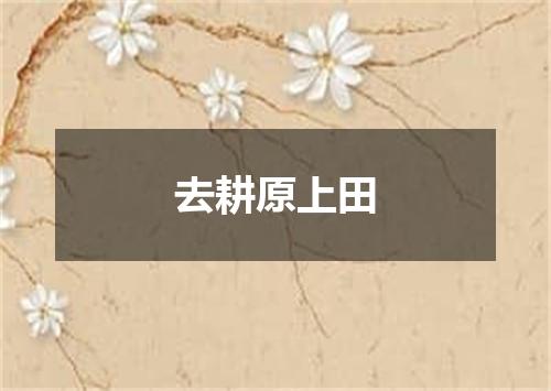 去耕原上田