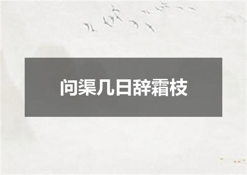 问渠几日辞霜枝