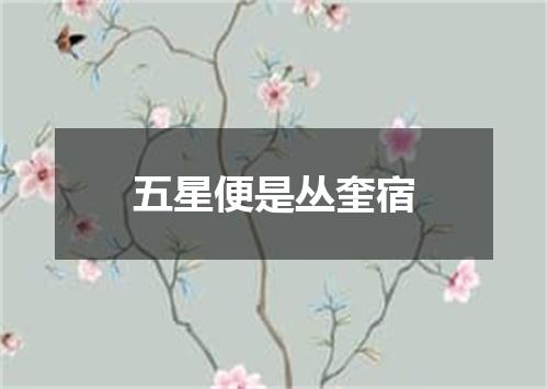 五星便是丛奎宿