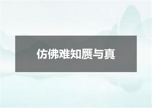 仿佛难知赝与真