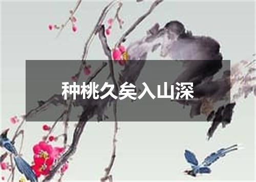 种桃久矣入山深