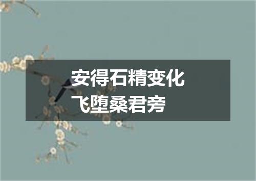 安得石精变化飞堕桑君旁