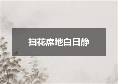 扫花席地白日静