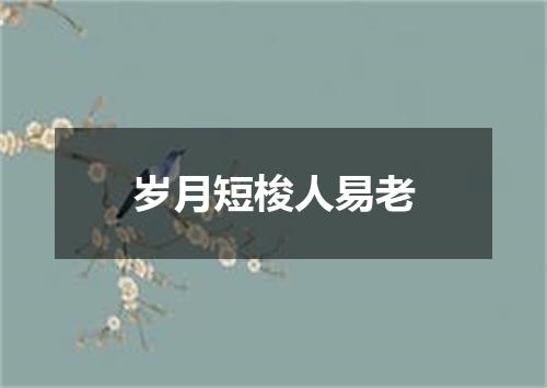 岁月短梭人易老