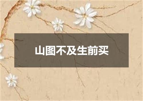 山图不及生前买