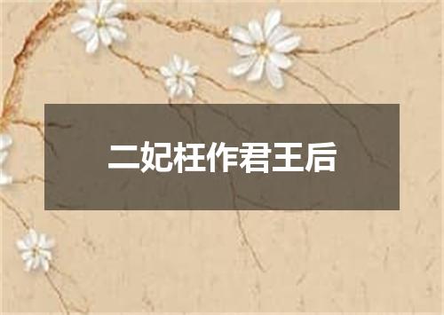 二妃枉作君王后
