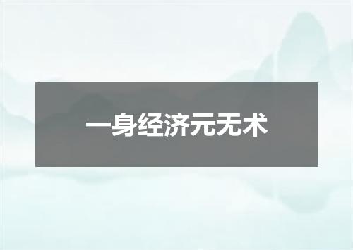 一身经济元无术