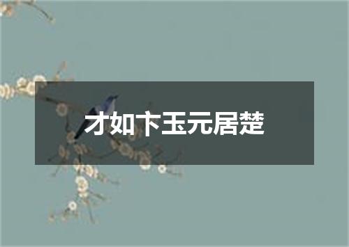 才如卞玉元居楚