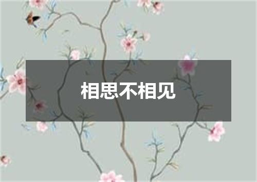 相思不相见