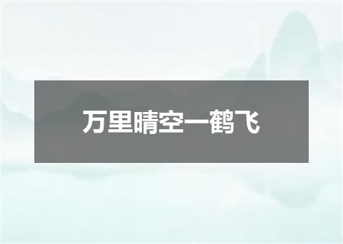 万里晴空一鹤飞