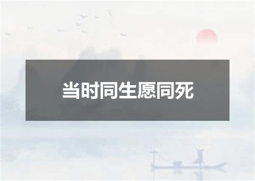 当时同生愿同死