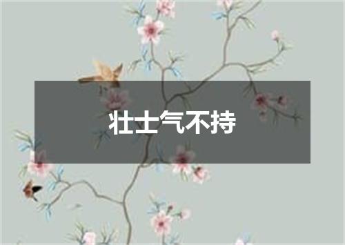 壮士气不持