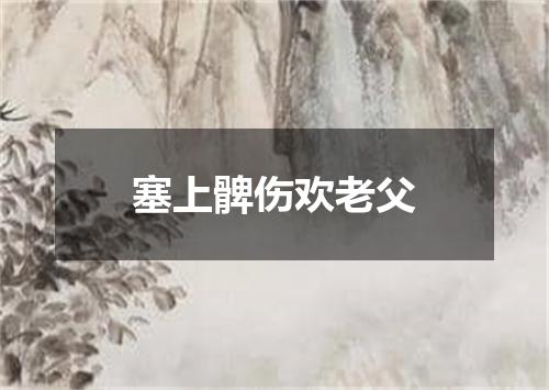塞上髀伤欢老父