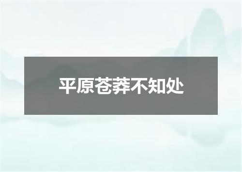 平原苍莽不知处
