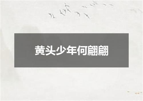 黄头少年何翩翩