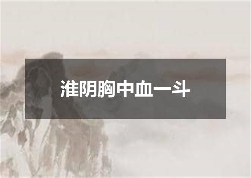 淮阴胸中血一斗