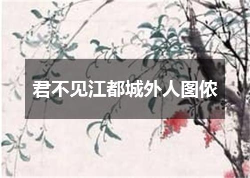 君不见江都城外人图侬