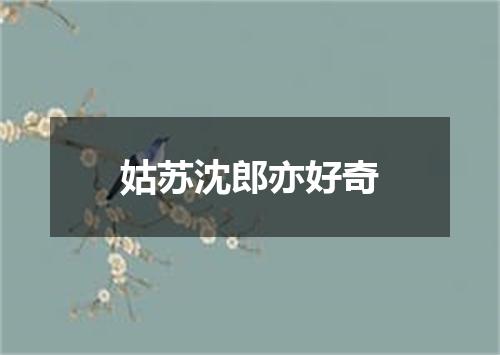 姑苏沈郎亦好奇