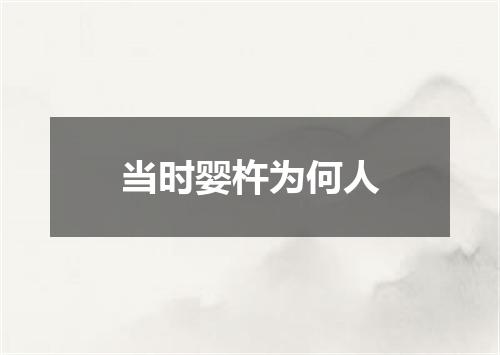 当时婴杵为何人