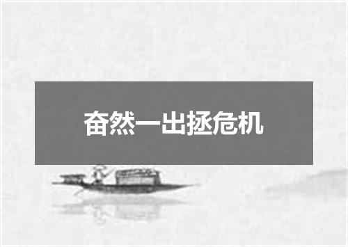 奋然一出拯危机