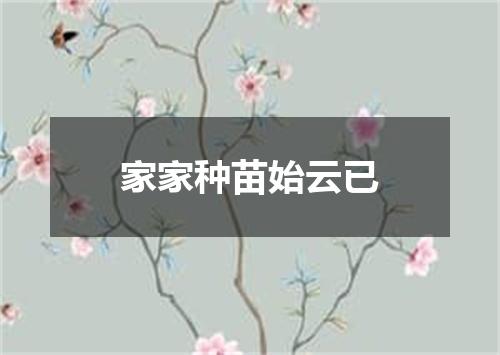 家家种苗始云已