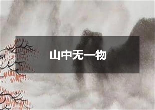 山中无一物