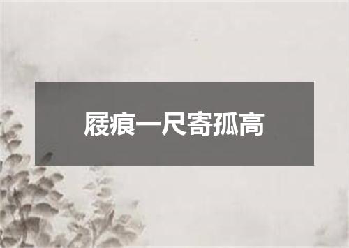 屐痕一尺寄孤高