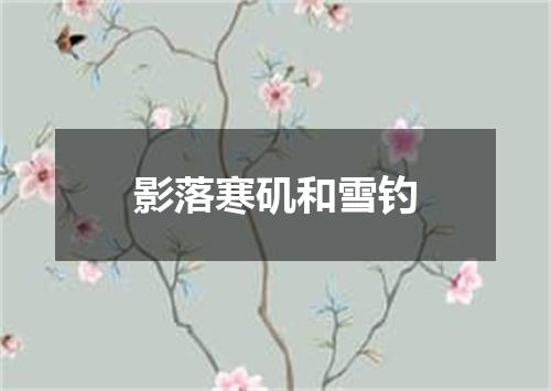 影落寒矶和雪钓