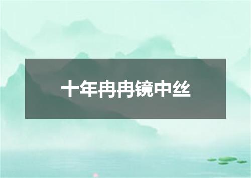 十年冉冉镜中丝