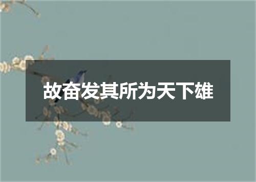 故奋发其所为天下雄