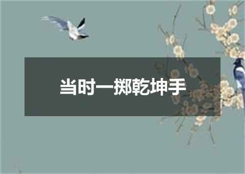 当时一掷乾坤手