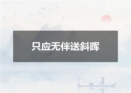 只应无伴送斜晖