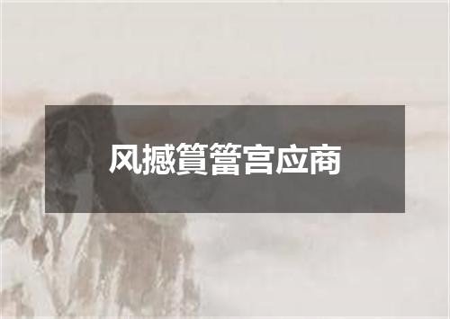 风撼篔簹宫应商
