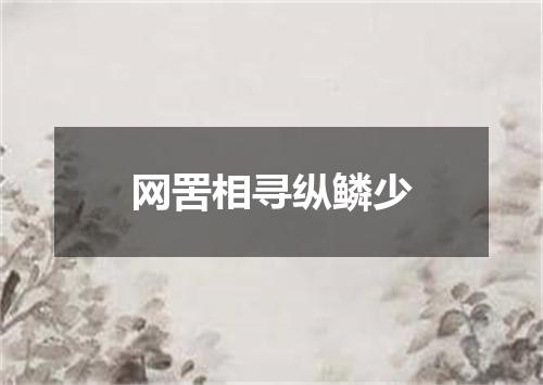 网罟相寻纵鳞少