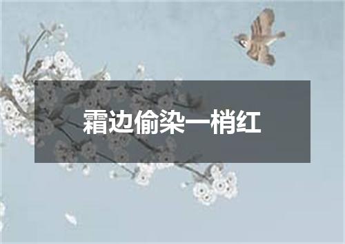 霜边偷染一梢红