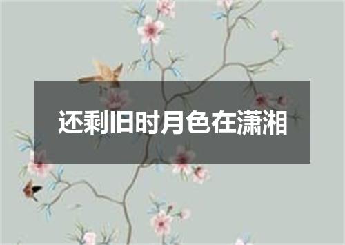 还剩旧时月色在潇湘