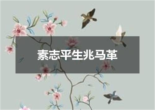 素志平生兆马革