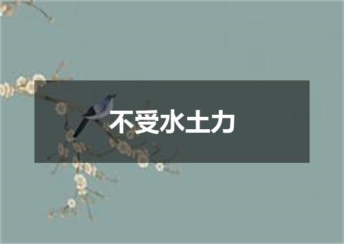 不受水土力