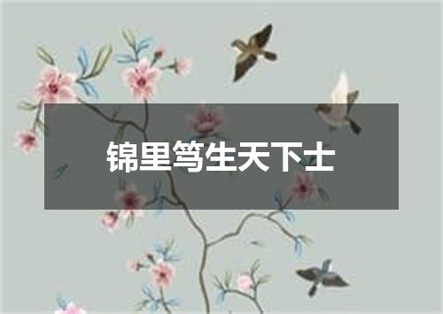 锦里笃生天下士