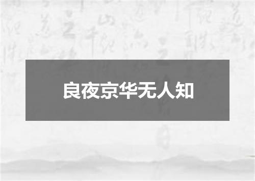 良夜京华无人知