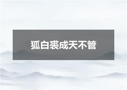 狐白裘成天不管