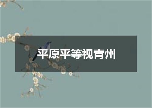 平原平等视青州