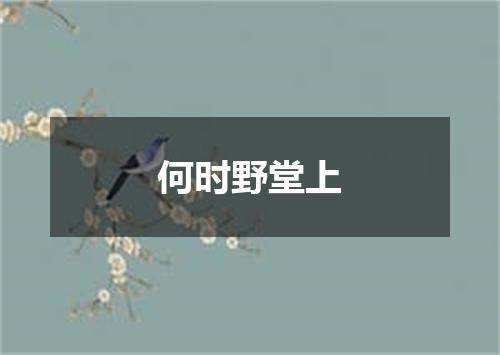 何时野堂上
