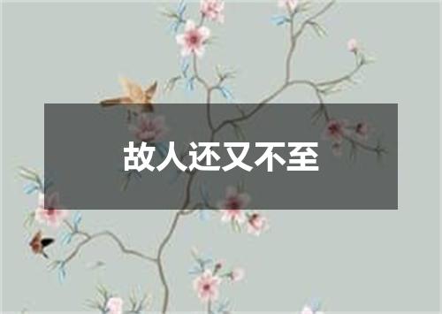 故人还又不至