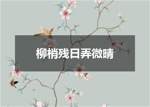 柳梢残日弄微晴