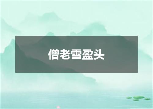 僧老雪盈头