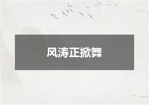 风涛正掀舞
