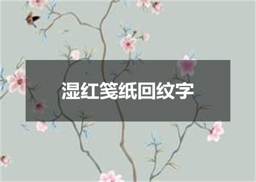 湿红笺纸回纹字